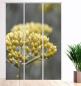 Preview: chenvorhang Helichrysum  3er Set, Schiebegardine, Schiebegardinen, blickdicht, Flächenvorhang blickdicht, Schiebevorhang,